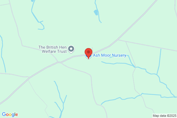 Ashmoor Nursery