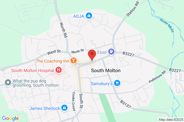 South Molton Pine