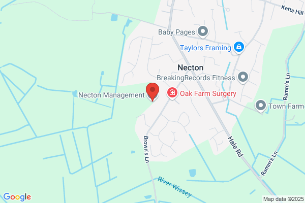 Necton Management Ltd