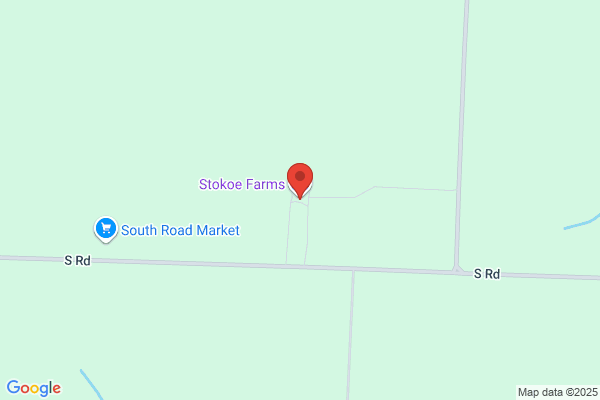 Stokoe Stores