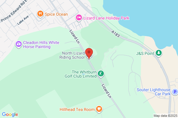 North Lizard Riding School
