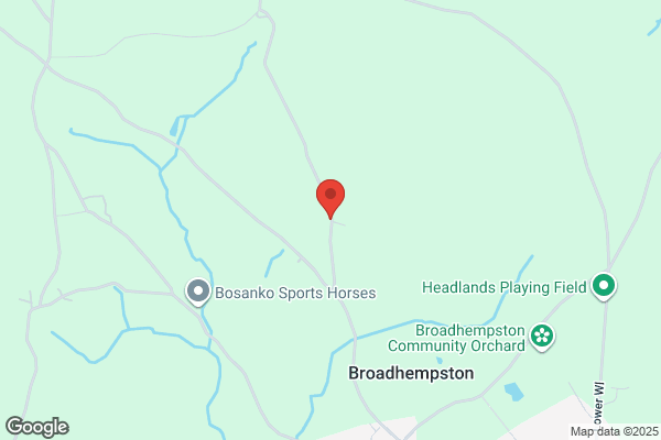 Knowle Tree Services Ltd