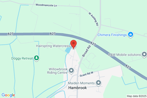 Hairspring Watercress Ltd