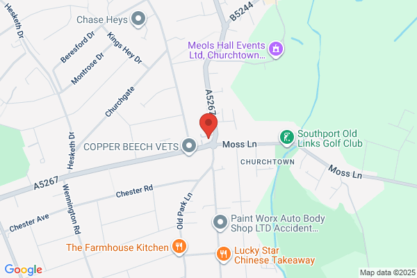 H. Johnson & Sons Funeral Directors