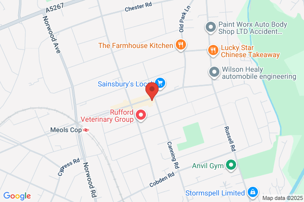 The Sandwich Place