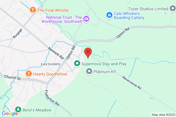 A & V Squires Plant Co Ltd