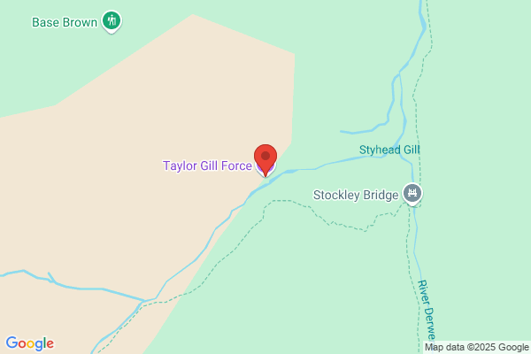 Gill & Taylor