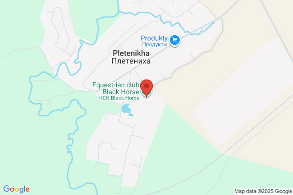 The Black Horse
