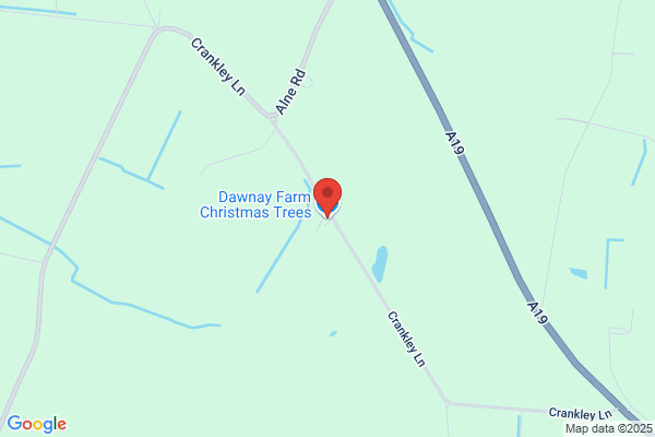 Dene Christmas Tree Nurseries