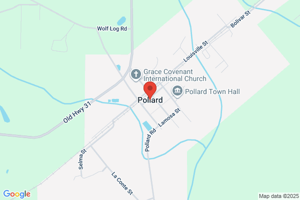 W Pollard
