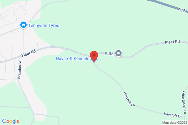 Highfield Kennels