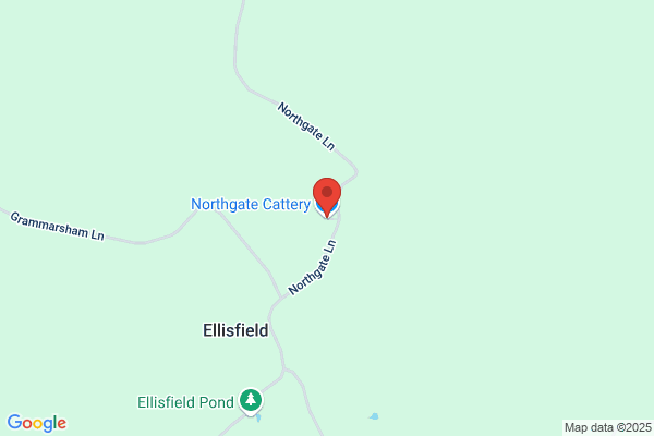 Northgate Cattery