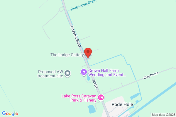 The Lodge Cattery