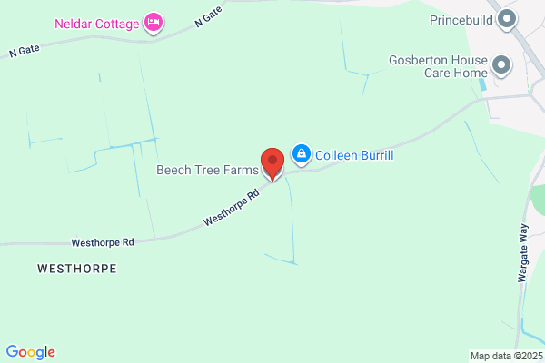 Beech Tree Farms