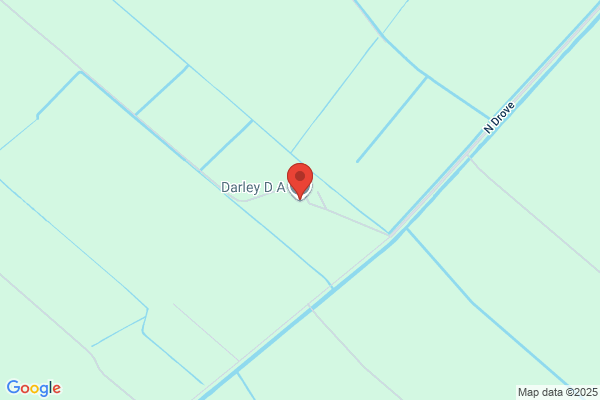 D A Darley