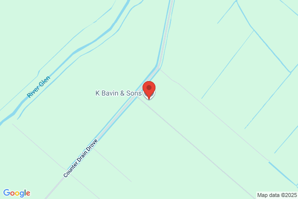 K Bavin