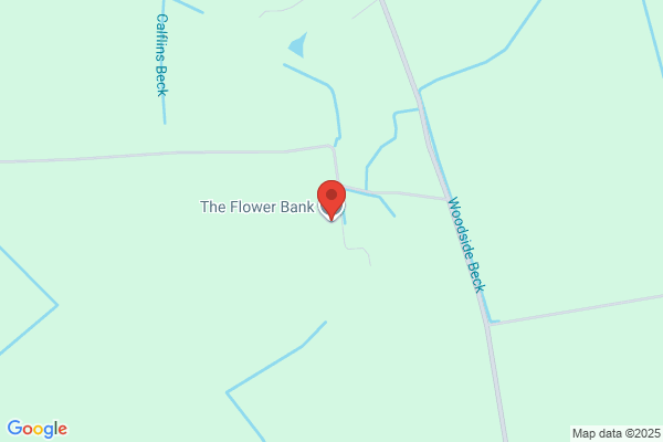 Bank Flowers