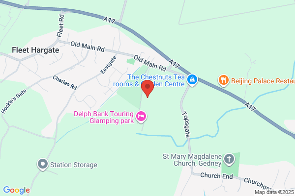 Follicles