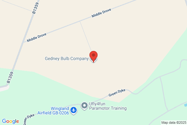 Gedney Bulb Co Ltd