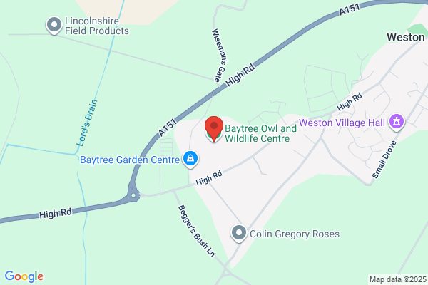 The Baytree Owl Centre