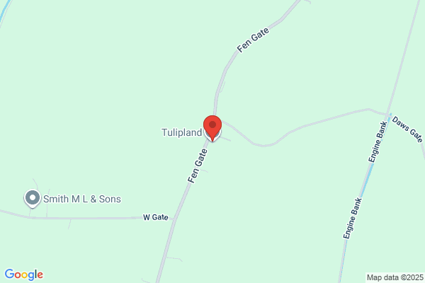 Tulipland Ltd