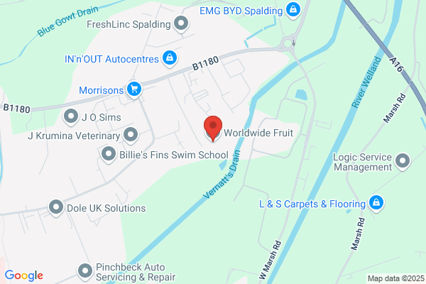 CWS Ltd