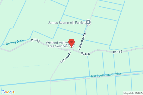 Gedney Hill Tree Services