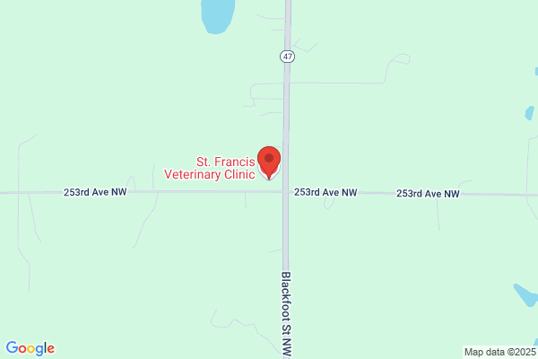 St Francis Animal Clinic