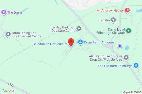 Caledonian Agricultural Management Services Ltd