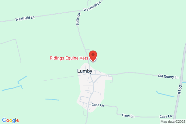 Ridings Equine Vets