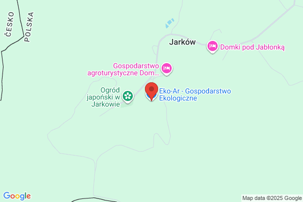 E K O Olejnicki