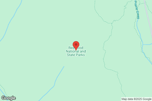 Redwoods
