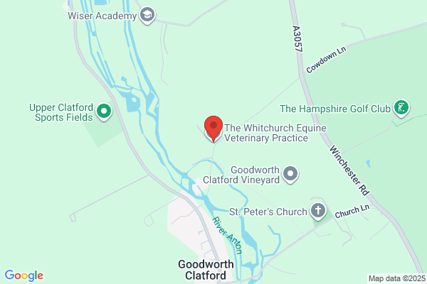 The Whitchurch Equine Veterinary Practice