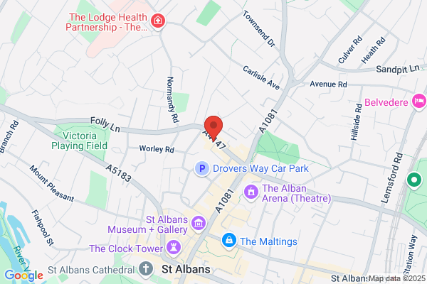 Council For Voluntary Service