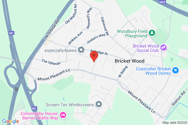 Black Brush Chimney Sweeps