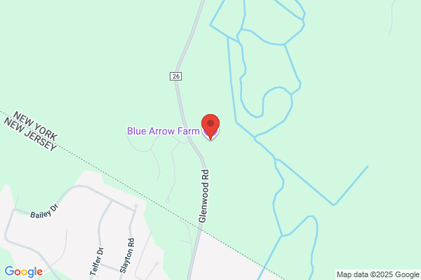 Blue Arrow