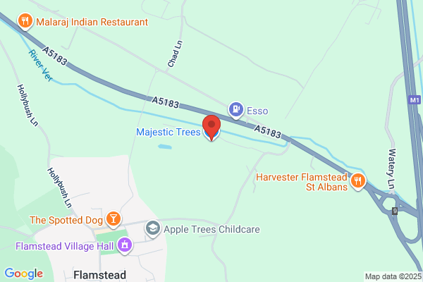 Majestic Trees Ltd