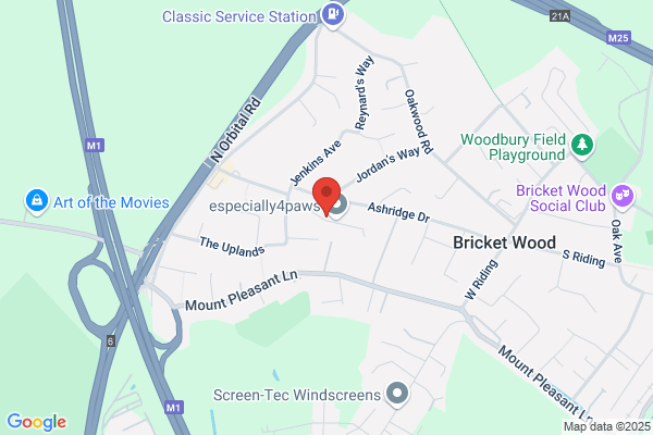 Broach Technical Services Ltd