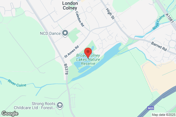 Rodell Steeplejacks Ltd