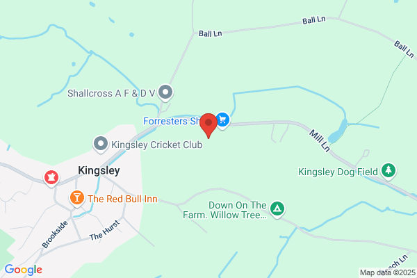 Forrester Ltd