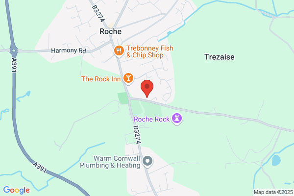 Roche Community School
