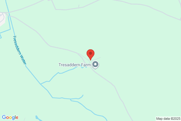 Trebudannon Plant