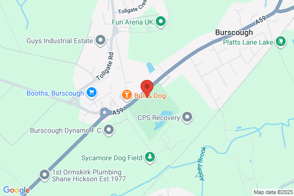 Star Paws Dog Walking & Home Pet Services