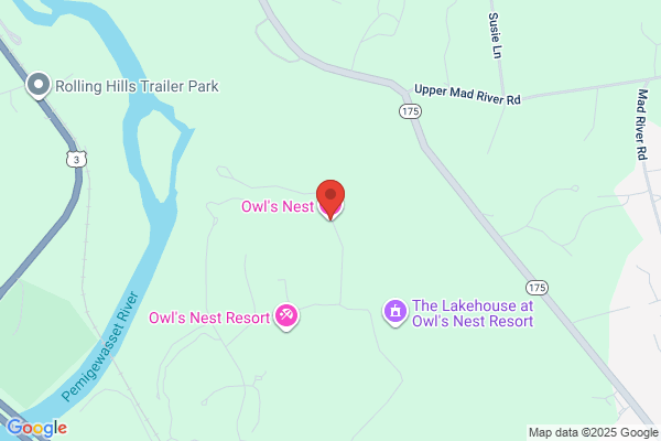 Owls Nest