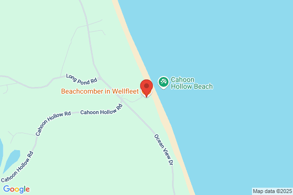 Beachcombers