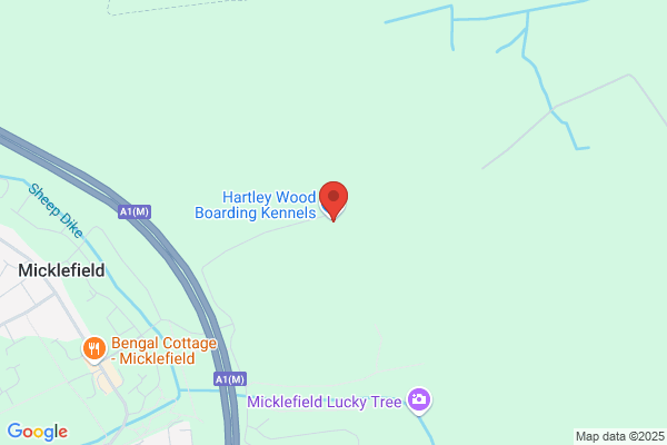 Hartleywood Cattery
