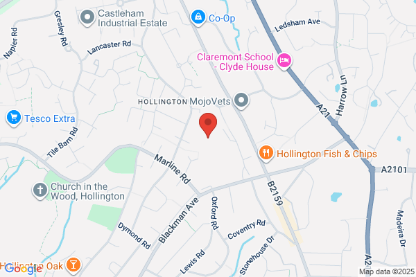 Hollington Primary School