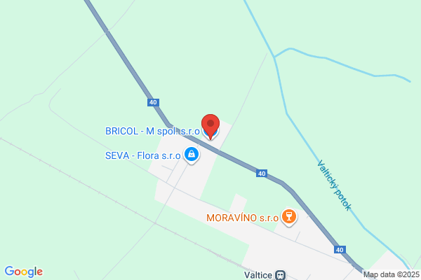 Bricol