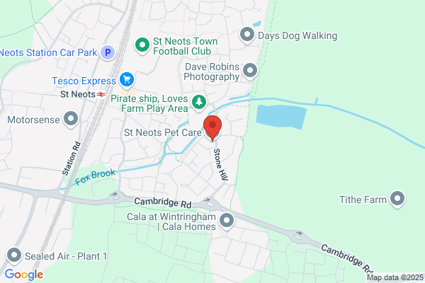 St Neots Dog Walker