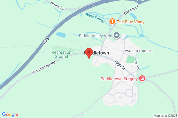 Puddletown C Of E First School